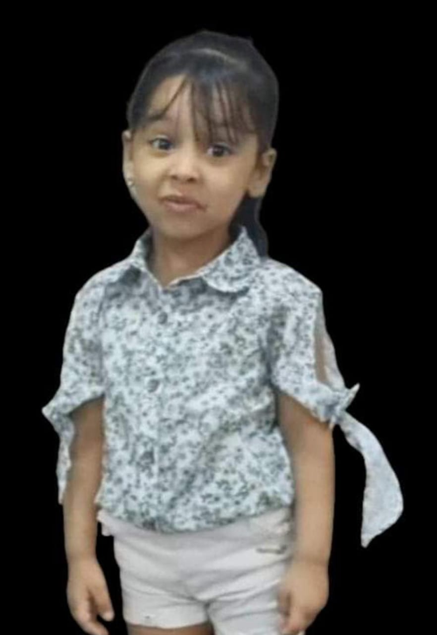 مصرع طفلة أسفل عجلات ميكروباص في الشرقية 