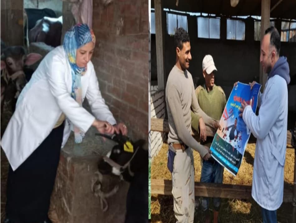 بيطرى الشرقية يٌحصن ٢٧٧ ألف و ١٤٦ رأس ماشية