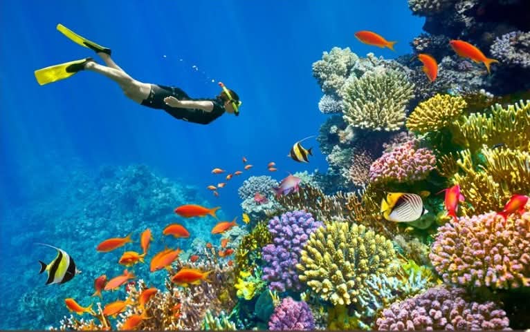 شرم الشيخ تتصدر ضمن أجمل 20 وجهه سياحية عالميًة في نوفمبر 2025 وفق تصنيف صحيفة “The Times”